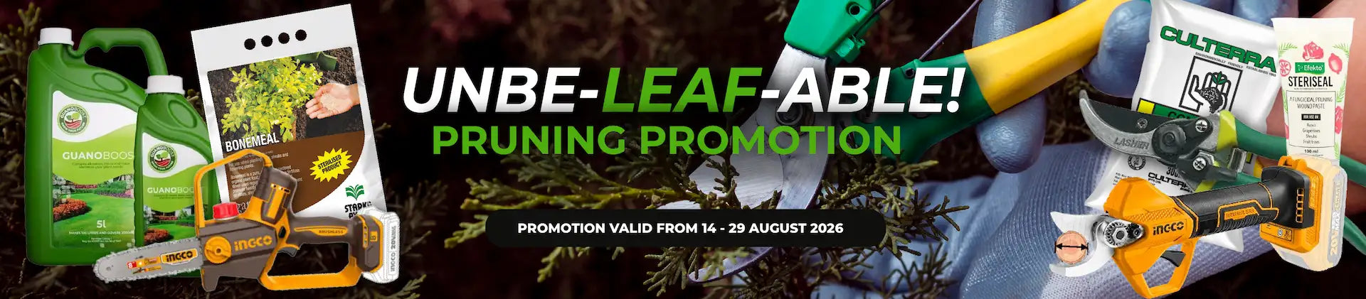Pruning Promotion