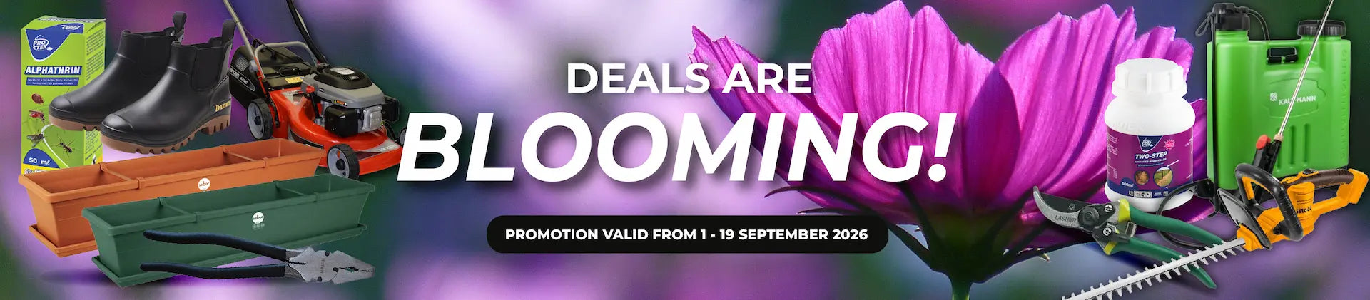 Spring Promotion