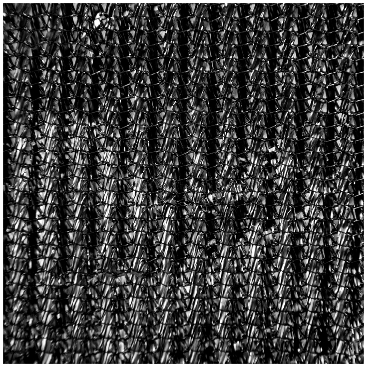 Shade Net 80% R Black 50MX3M