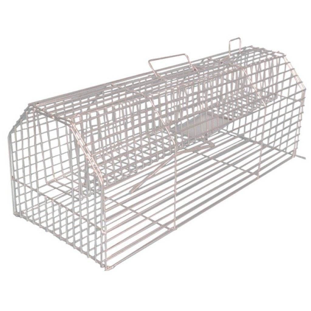 Trap Rat Wire Cage -