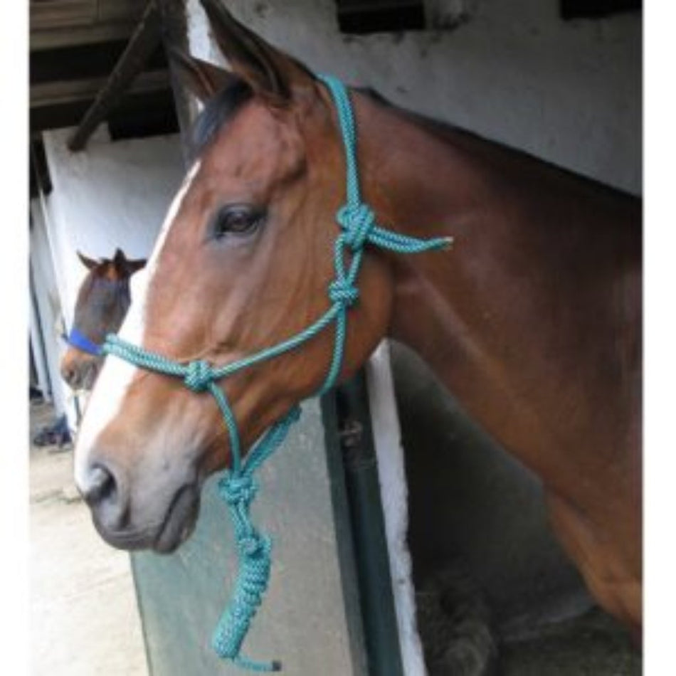 Solo Saddlers Rope Halter + Lead