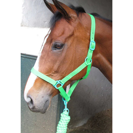 Solo Saddlers Halter And Rope Lead L / FULL