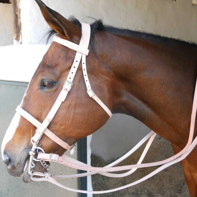 Solo Saddlers Bridle Farm Double And Bit -
