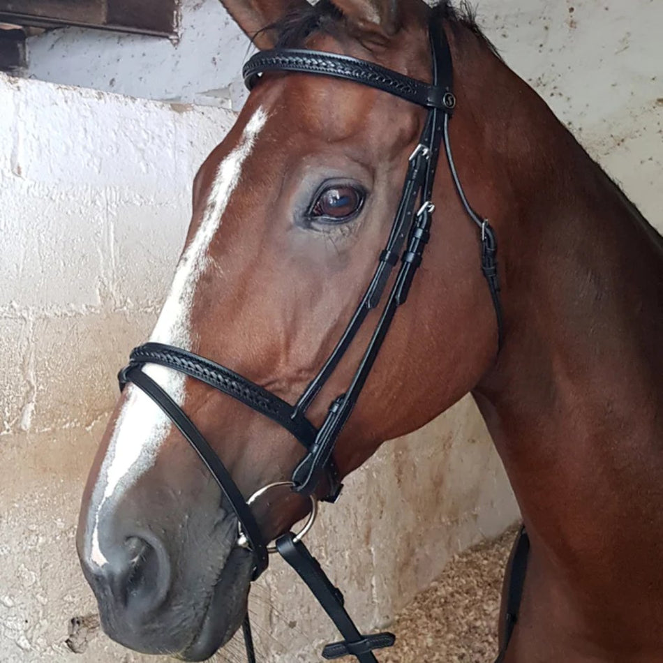 Solo Saddlers Bridle Braided