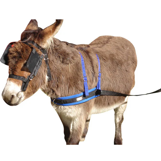 Solo Saddlers Bridle Donkey Nylon Plus Bit -