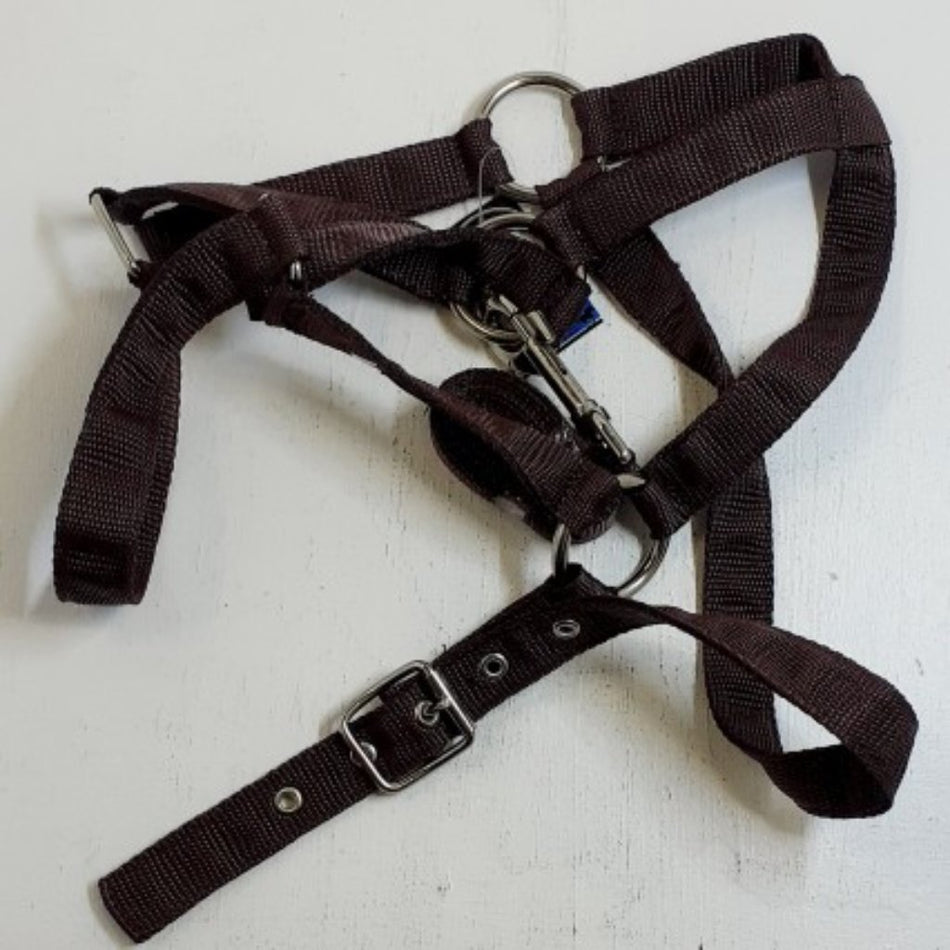 Solo Saddlers Halter And Lead