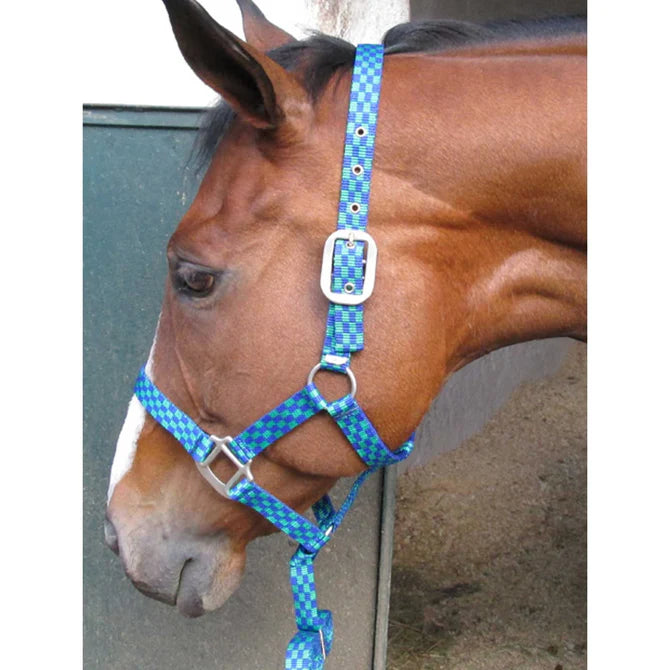 Solo Saddlers Halter Everstretch And Lead S / PONY