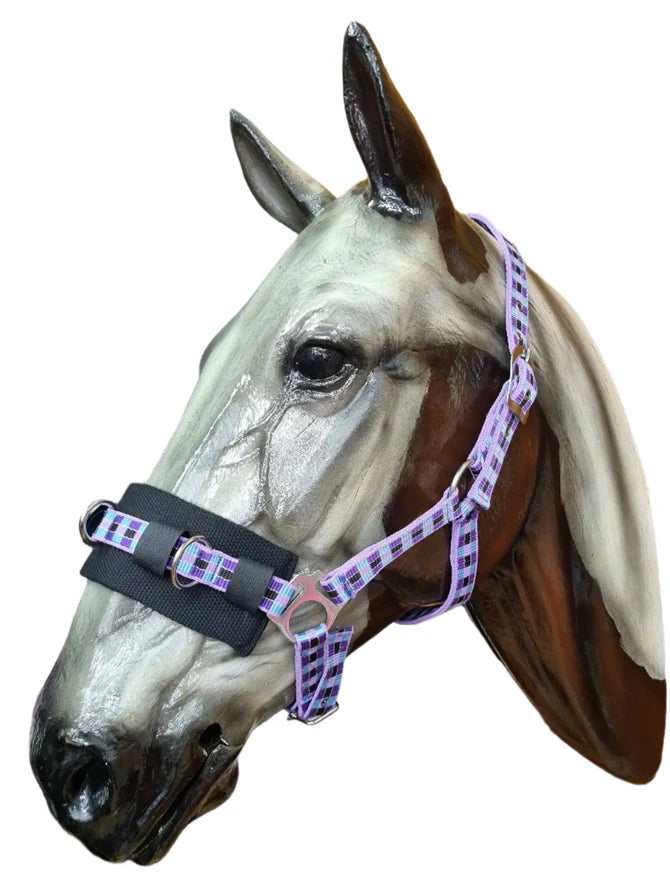 Solo Saddlers Lunge  Caveson -