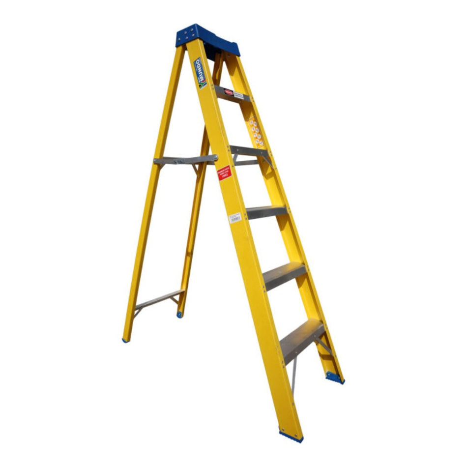 Generic Ladder  Fiber Glass