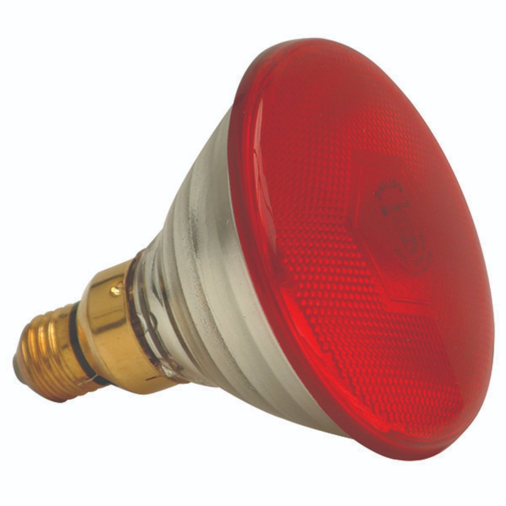 Poltek Lamp  Infrared 175W -