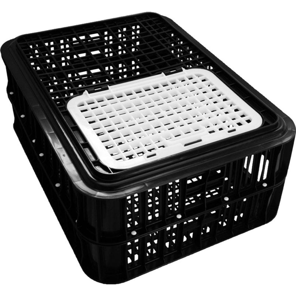 Poltek Crate Live bird red