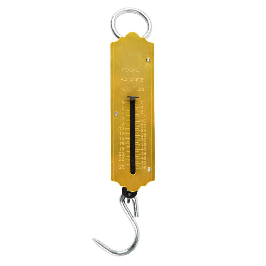 Gen Merch Scale Pocket Type 25KG -