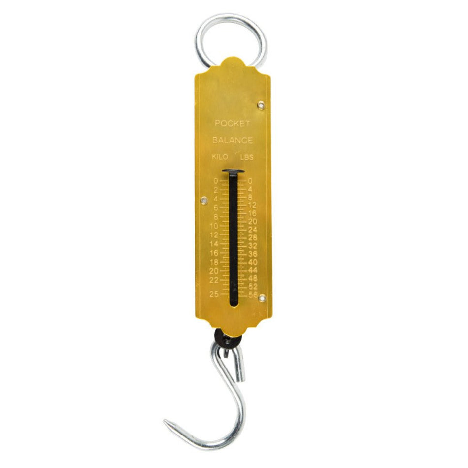 Gen Merch Scale Pocket Type 25KG -