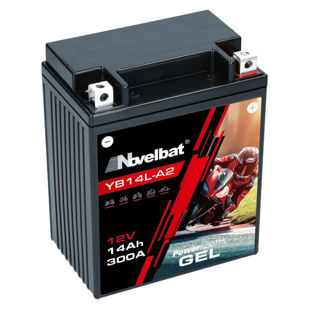 Motorcycle Battery YB14L-A2 -