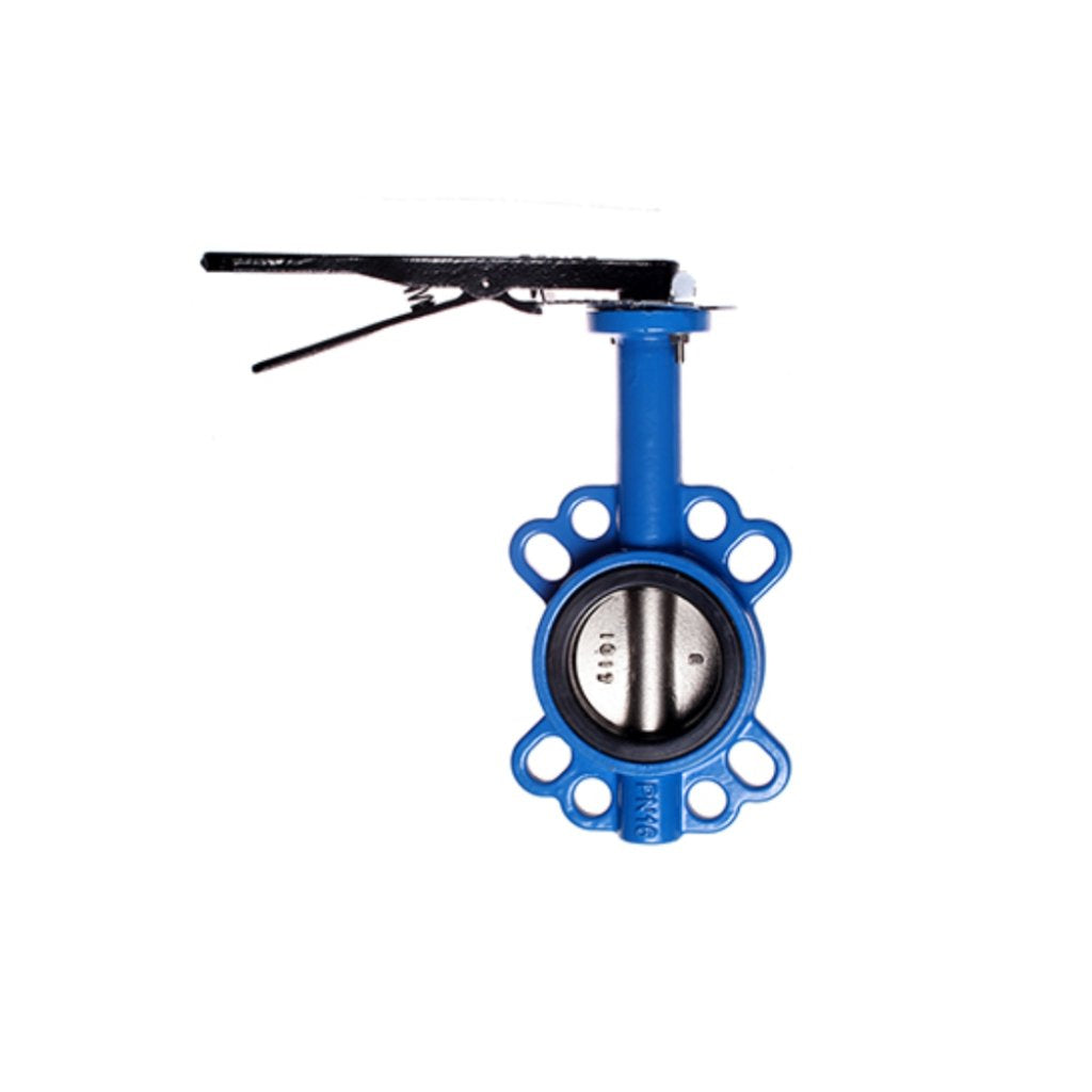 Butterfly Valve With DI Disc 65MM