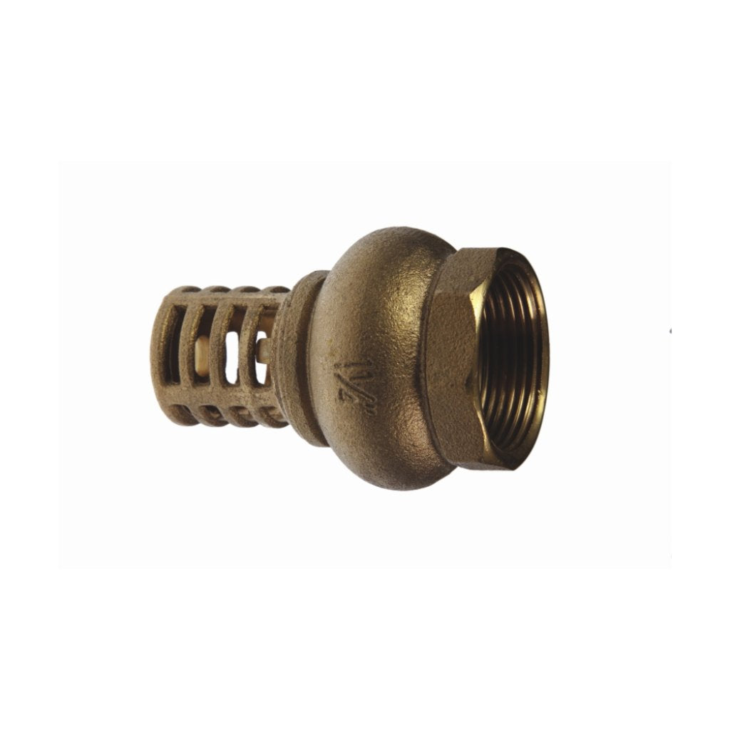 Brass Heavy Duty Foot Valve 50MM -