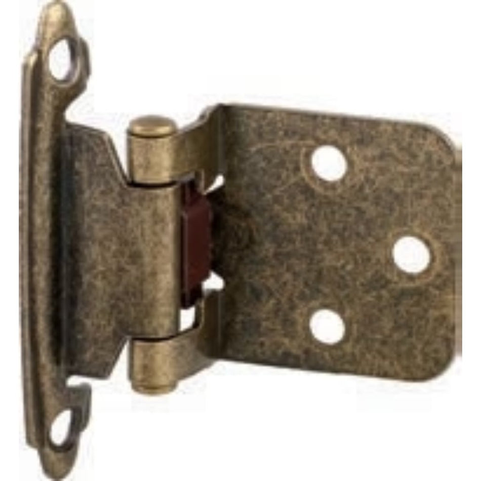 Ruwag Self Closing Hinge brass plated 2'S