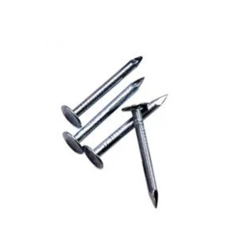 Generic Nail Clout Galv 1kg