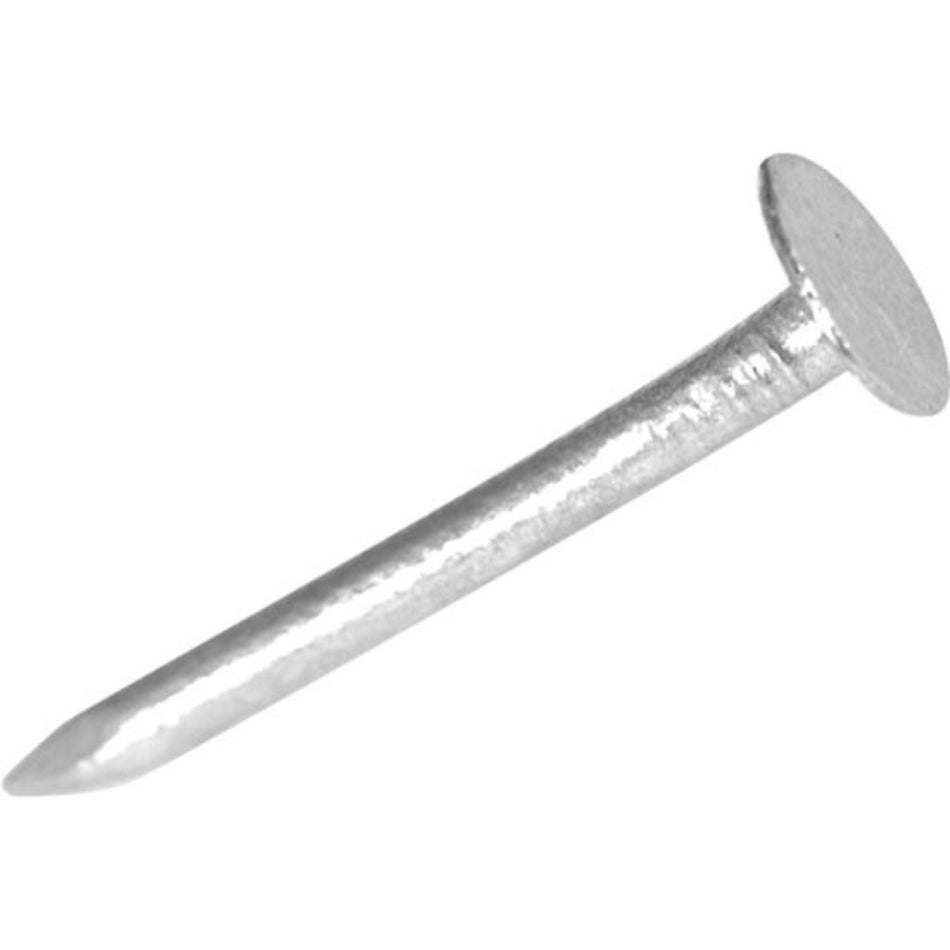 Generic Nail Clout Galv 32x2.8mm Bucket