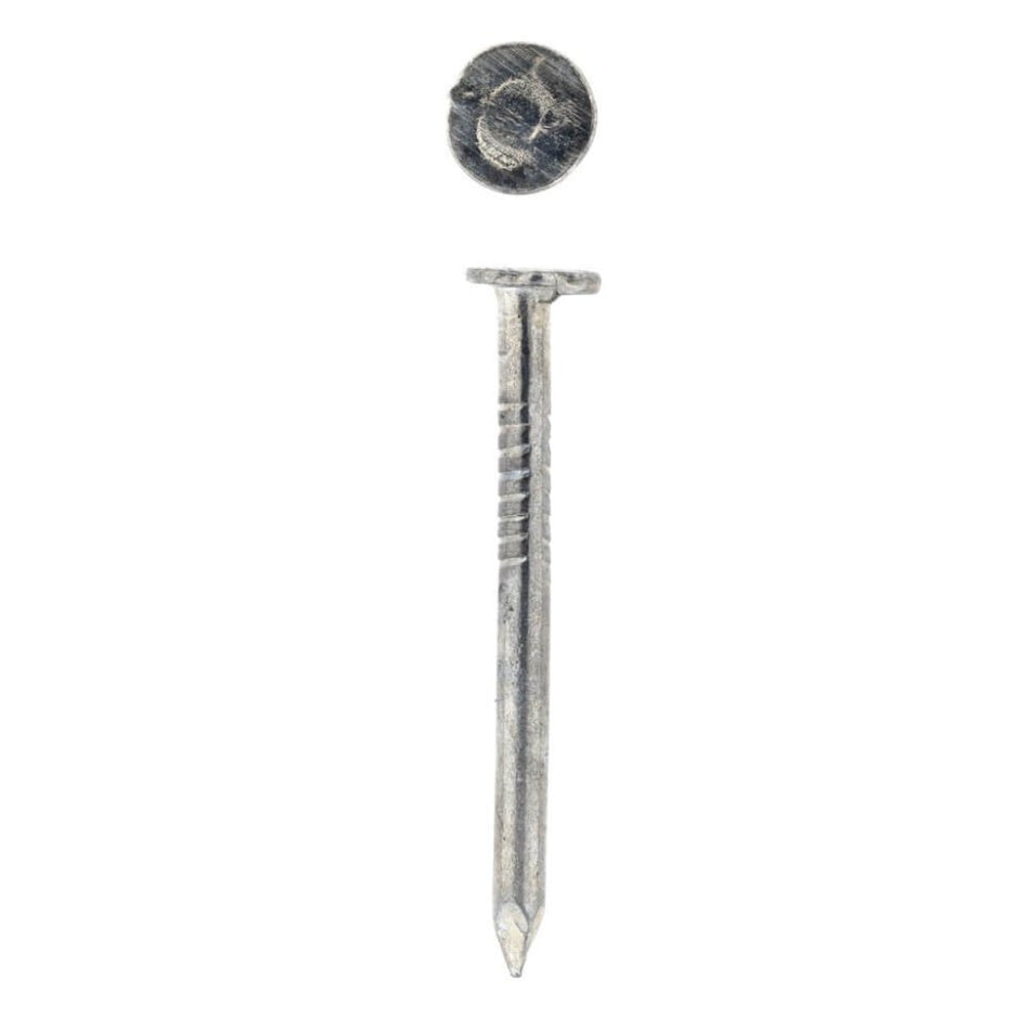 Generic Nail Clout Galv 500g Bucket