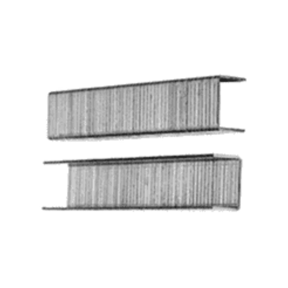 Staples 6mmx10mm 1000pc -