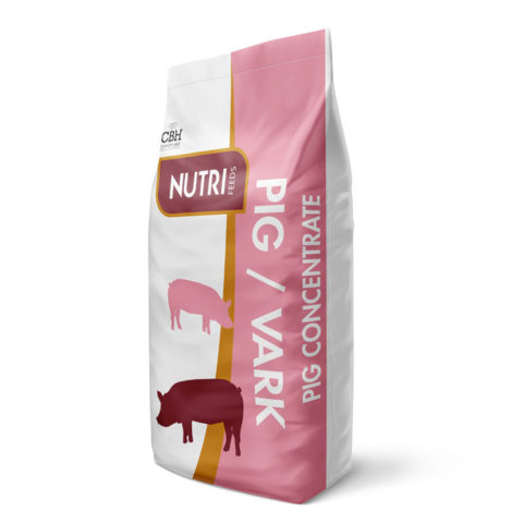 285000131
