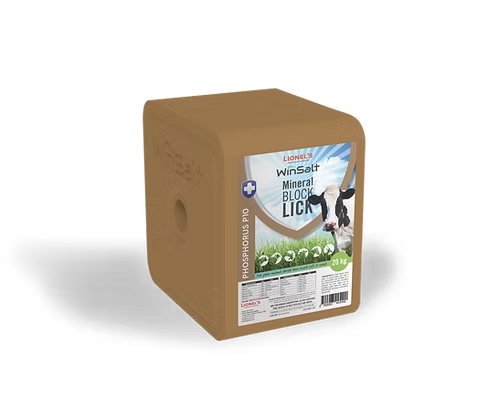 Lionels Animal Feeds Livestock Block Phosphorus 20KG