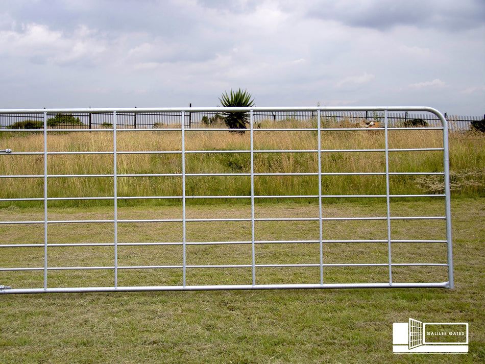 Gate Auction Heavy 1800X3000