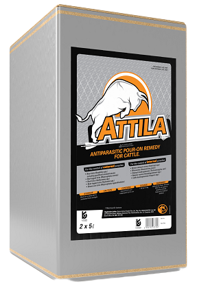 Attila 10L