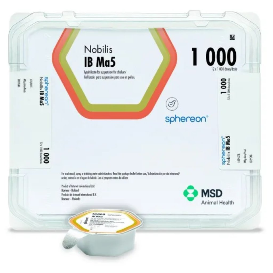 621000120