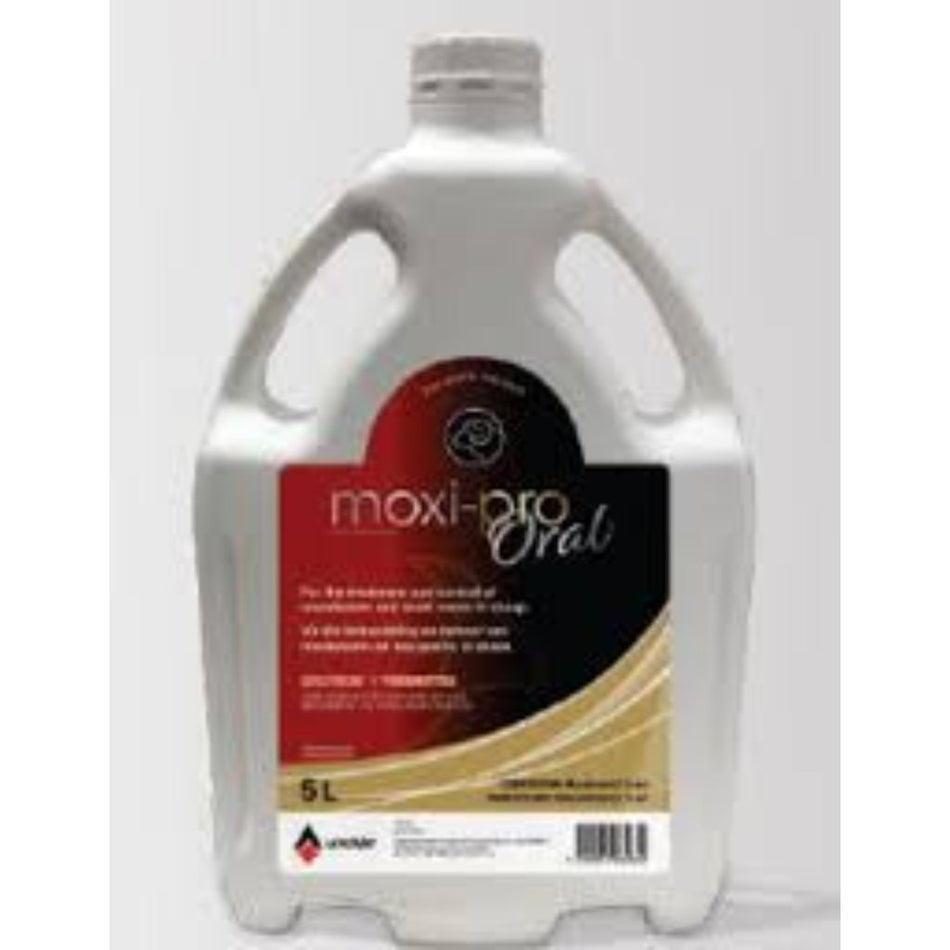 Antrover Moxi-Pro Oral 5L