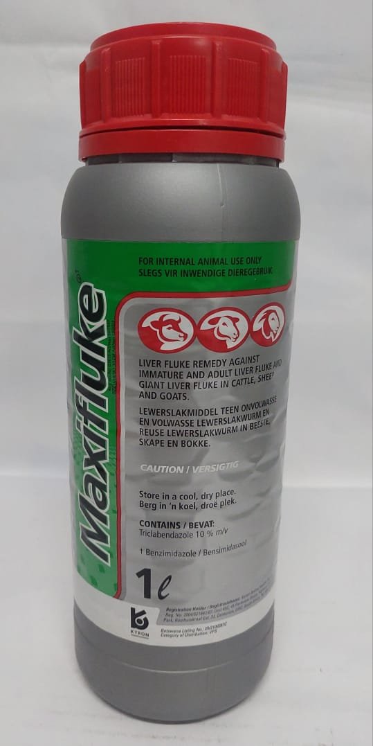 Maxifluke