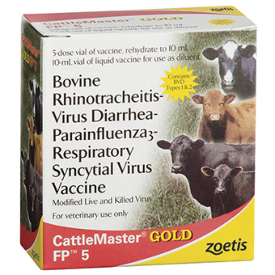 621507054