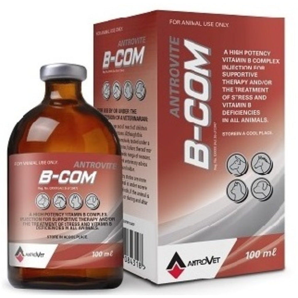 Antrovet High Antrovite B-Com 100ML