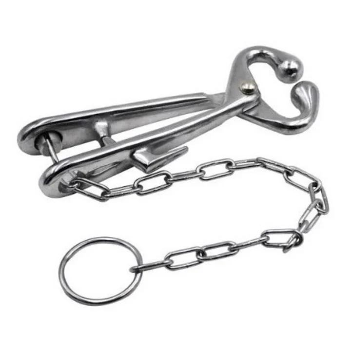 Bull Nose Plier with Chain Antrovet