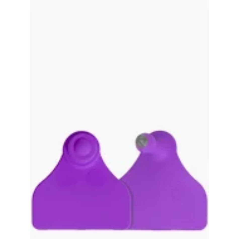Z-Tag M/F Mini Flag (20) Purple