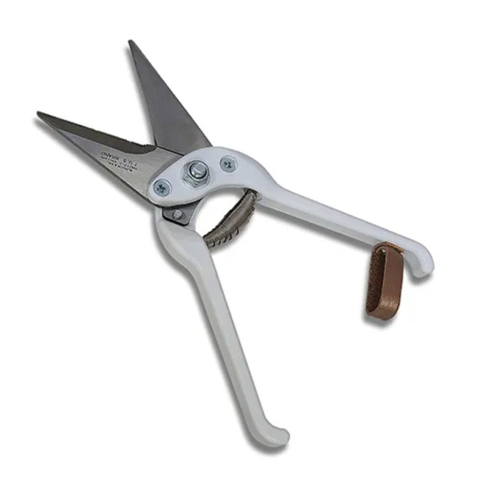 Antrovet Hoof Shearing Stainless Steel