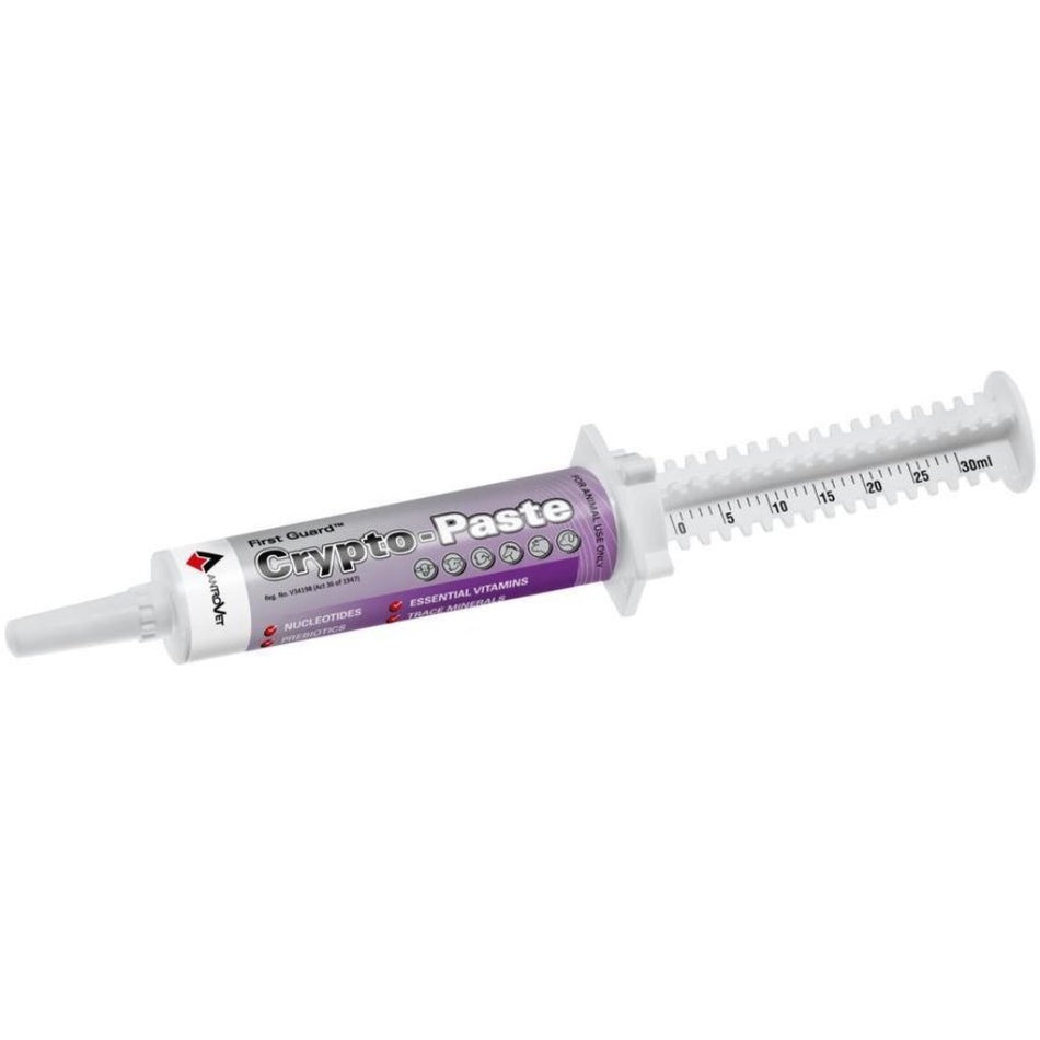 Antrovet Crypto-Paste 30G