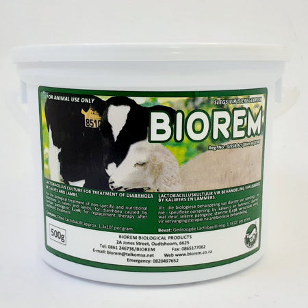 Biorem Samples Biorem Probiotic Powder – NWK Shop