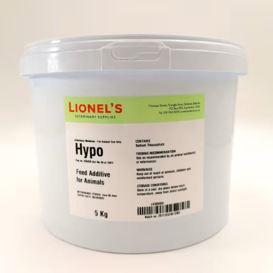 Hypo