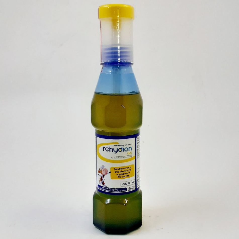 Rehydion Gel 320ML