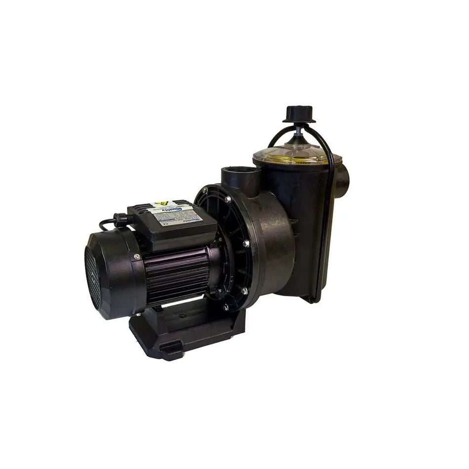 Pool Pump & Motor 1.1KW 220V