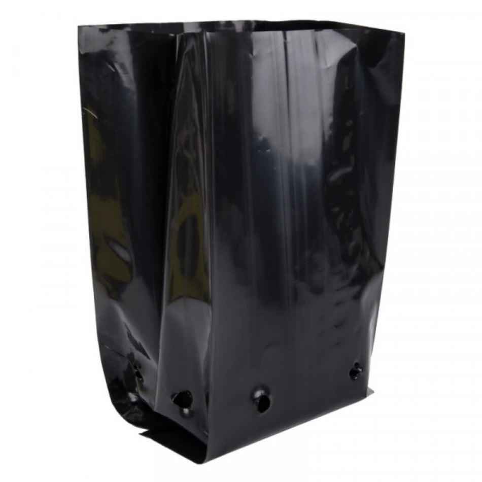 Plant Bag 225x200x475 150mic 21L