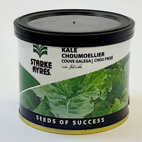 Starke-Ayres Kale Choumoellier 50G