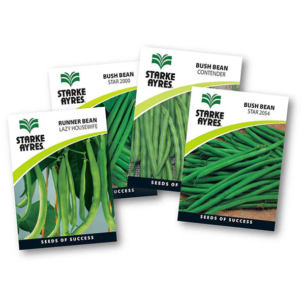 Starke-Ayres Bean Seed -