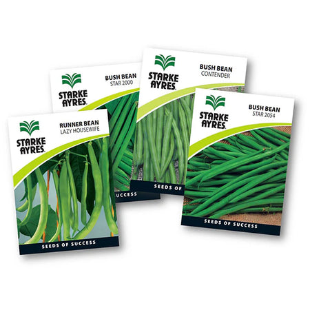 Starke-Ayres Bean Seed -