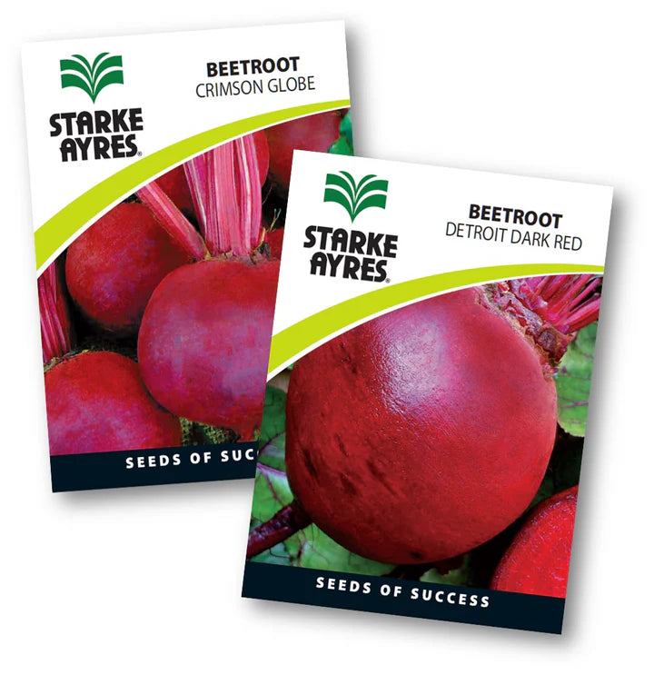 Starke-Ayres Beetroot Seed -