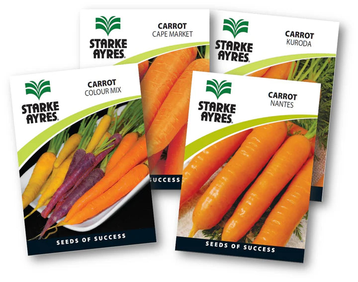 Starke-Ayres Carrot Seed -