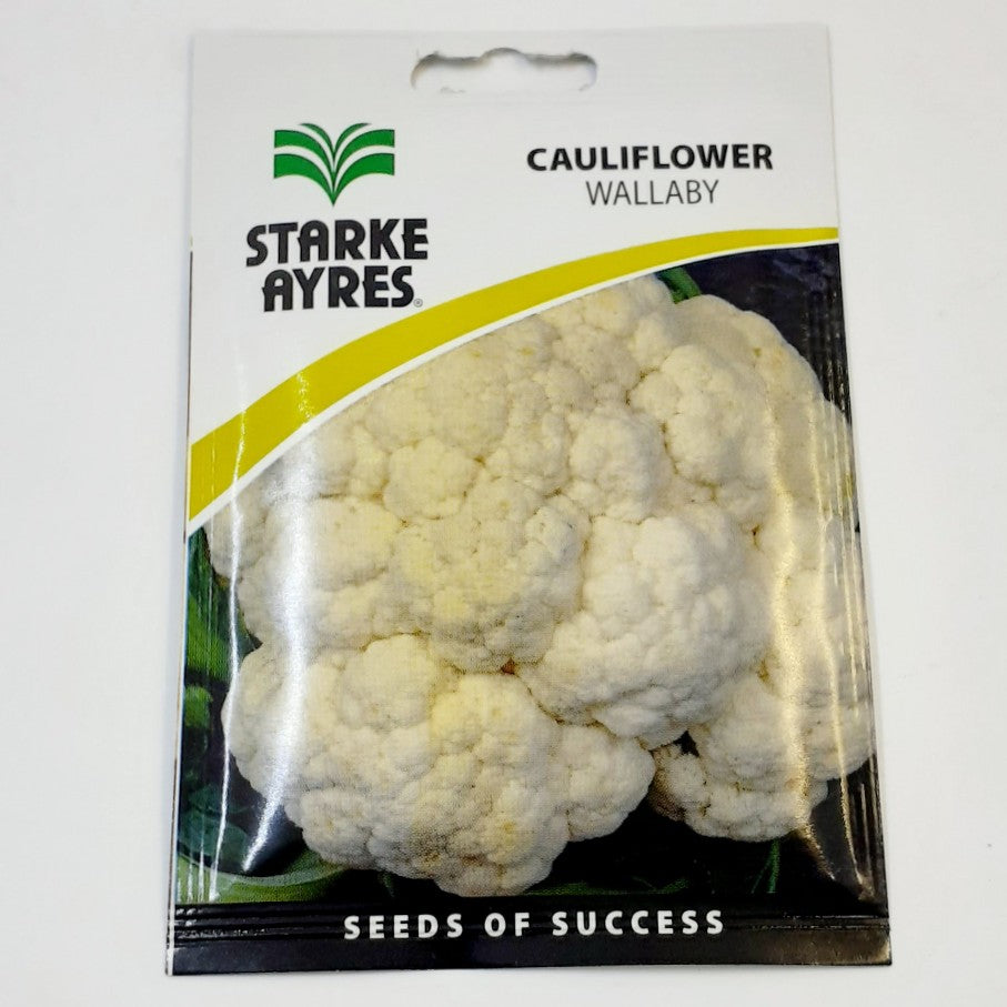 Starke-Ayres Cauliflower Seed