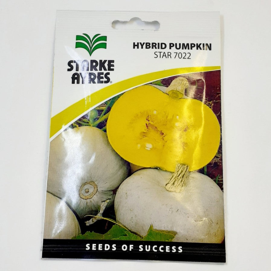 Starke-Ayres Pumpkin Seed
